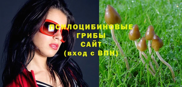 MESCALINE Аркадак