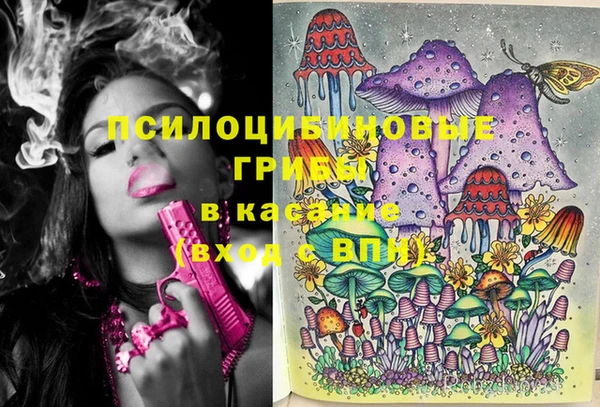 MESCALINE Аркадак