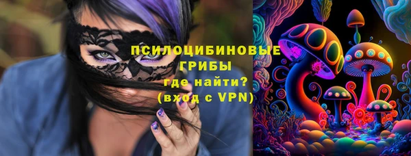 MESCALINE Аркадак
